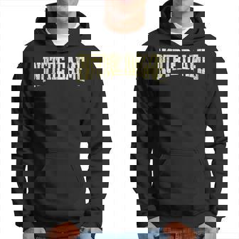 Notre Dame Vintage City Hoodie | Seseable CA