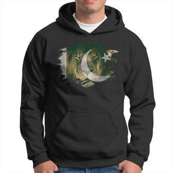 Pakistan Flag And African Lion Picture Pakistani Pride Hoodie - Thegiftio UK