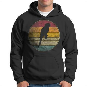 Parrot Bird Vintage Distressed Retro Style Silhouette 70S Hoodie - Monsterry AU