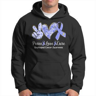 Peace Love Cure Periwinkle Ribbon Esophageal Cancer Hoodie | Mazezy