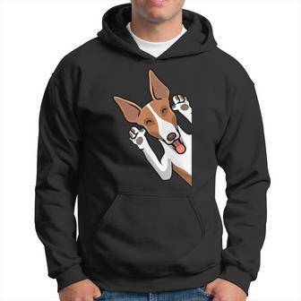 Podenco Ibicenco Dog Hoodie - Geschenkecke