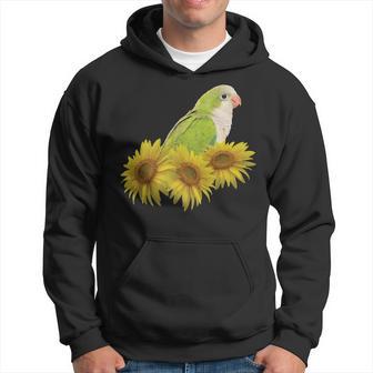 Quaker Parrot Green Monk Parakeet Sunflower Hoodie - Monsterry AU