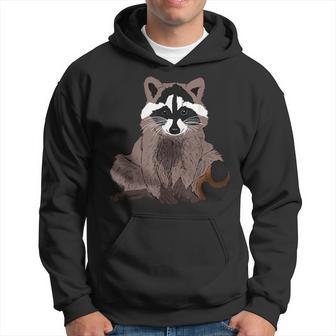 Raccoon With Face Like Bears Raccoons And To Smile Hoodie - Monsterry