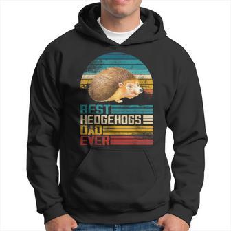 Retro Vintage Best Hedgehogs Dad Ever Hoodie - Monsterry UK