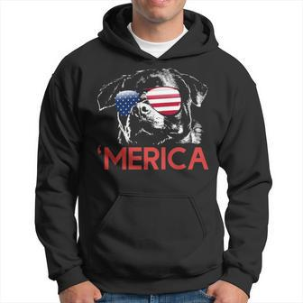 Rottweiler American Flag 4Th Of July Hoodie | Mazezy