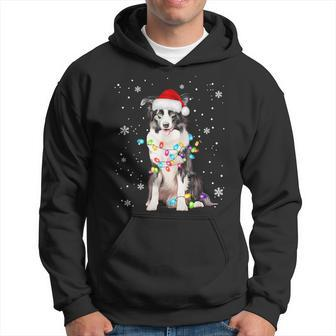 Santa Border Collie Christmas Tree Light Pajama Dog X-Mas Hoodie - Seseable