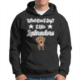 What Can I Say I Like Labradors Chocolate Lab Labrador Hoodie - Monsterry