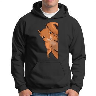 Squirrel Looking From The Side Squirrel Hoodie - Thegiftio UK
