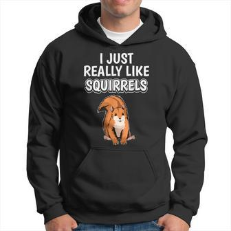 Squirrel Quote I Just Really Like Squirrels Clothes Squirrel Hoodie - Thegiftio UK