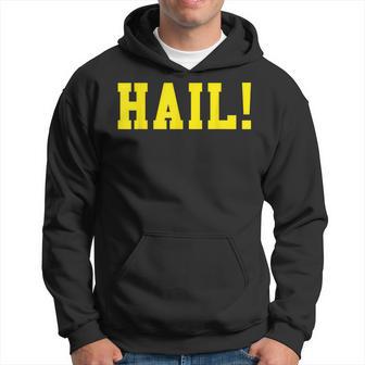 State Of Michigan Hail U M Ann Arbor Mi Aa Hoodie - Monsterry CA