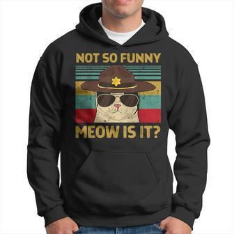Super State Trooper Cat Not So Meow Is It Hoodie - Monsterry CA