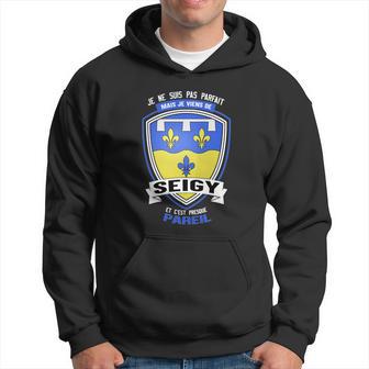 Sweat à capuche Je Viens de Seigy Humour, Écusson Fleurs de Lys - Cadeauxyz