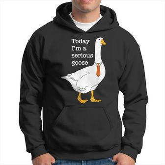 Today I'm A Serious Goose Apparel Hoodie - Monsterry
