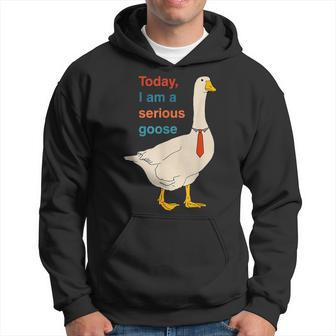 Today I Am A Serious Goose Hoodie - Seseable