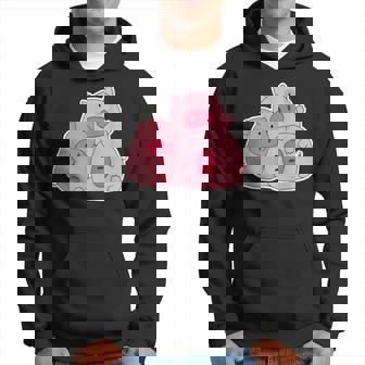 Tres Cerditos Regalo Japonés Kawaii Sudadera - Regaloses