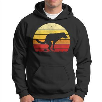 Vintage Sunset Labrador Retro Dog Pooping Old School Classic Hoodie - Monsterry
