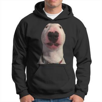 Walter Dog Meme Hoodie - Seseable