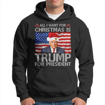 All I Want For Christmas Is Trump Back 2024 Ugly Sweater Hoodie - Monsterry UK