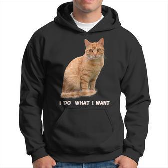 I Do What I Want Orange Tabby Cat Lovers Hoodie - Monsterry CA