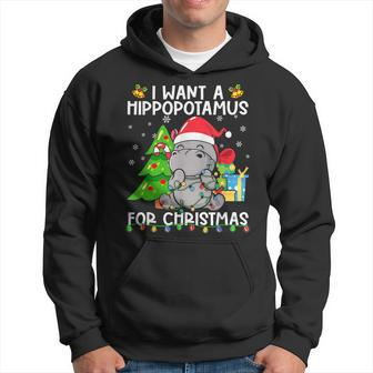 I Want A Hippopotamus For Christmas Santa Lights Hippo Xmas Hoodie - Seseable