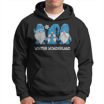 Winter Wonderland Gnomes Winter Snowy Gnomes Snow Gnome Hoodie - Monsterry