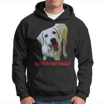 Yellow Lab Did You Say Ball Hoodie - Monsterry DE