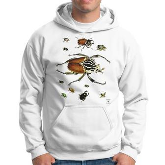 Collection Of Beetles Bugs Insects Entomology Hoodie - Thegiftio UK