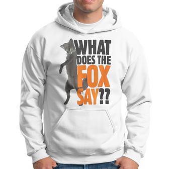 What Does The Fox Say Hoodie - Monsterry CA