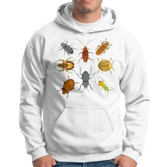 Entomologist Biologist Beetle Bug Collector Insect Lover Bug Hoodie - Thegiftio UK