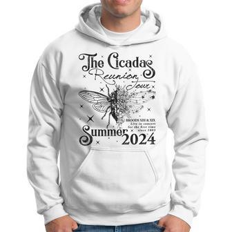 Entomology Cicada Lover Cicada Reunion Us Tour 2024 Hoodie - Monsterry UK