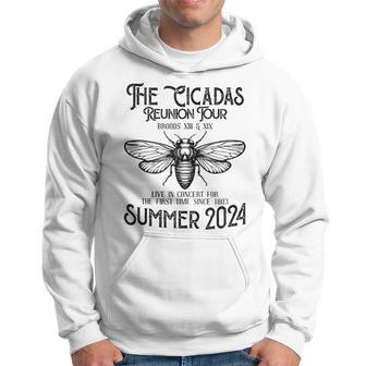 The Cicadas Reunion Tour Summer 2024 Hoodie - Thegiftio UK
