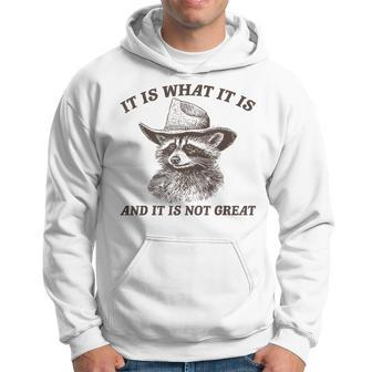 Raccoon It Is What It Is And It Is Not Great Hoodie - Seseable