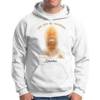 James Meme You Are My Sunshine Joke For And Women Hoodie | Mazezy