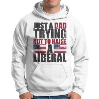 Just A Dad Trying Not To Raise A Liberal Hoodie - Seseable