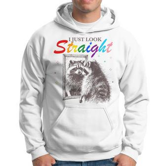 I Just Look Straight Raccoon Queer Gay Les Lgbt Meme Hoodie - Monsterry UK