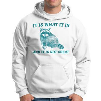 It Is What It Is And It Is Not Great Raccoon Meme Hoodie - Seseable