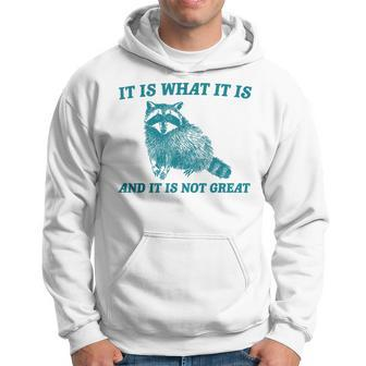 It Is What It Is And It Is Not Great Raccoon Hoodie - Monsterry