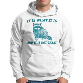 It Is What It Is And It Is Not Great Raccoon Hoodie - Monsterry