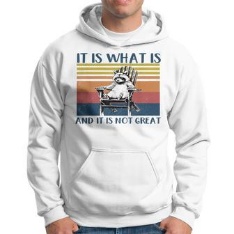 It Is What It Is And It Is Not Great Raccoon Hoodie - Seseable
