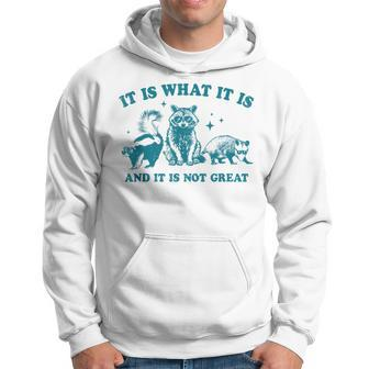 It Is What It Is And It Is Not Great Raccoon Trash Panda Hoodie - Seseable