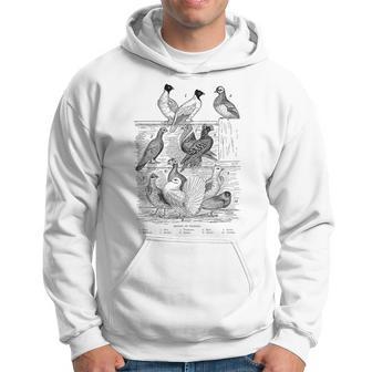 Pigeon Vintage Breeds Of Pigeons For Pigeon Lover Hoodie - Monsterry