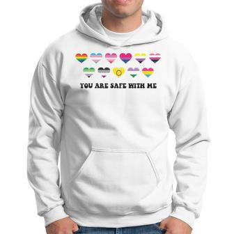 Proud Ally You Are Safe With Me Pride Month Lgbtq Hoodie - Seseable