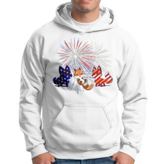 Red White Blue Fox Fireworks Patriotic 4Th Of July Hoodie - Monsterry DE