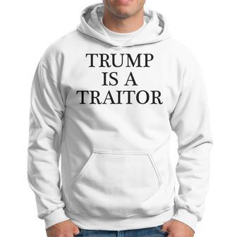 Trump Is A Traitor Anti Potus Clothing Hoodie - Monsterry