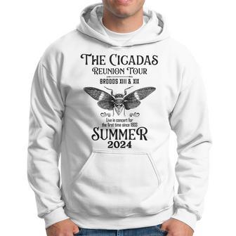 Vintage Cicada Reunion Tour 2024 Cicada Lover Hoodie - Thegiftio UK