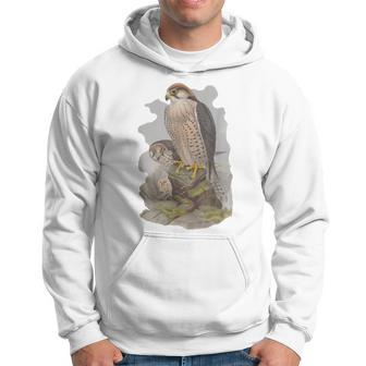 Vintage Falcon Scientific Drawing Falconry Lanner Hoodie - Monsterry