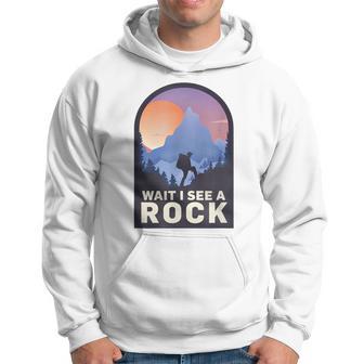 Wait I See A Rock Geology Geologist Hoodie - Monsterry UK