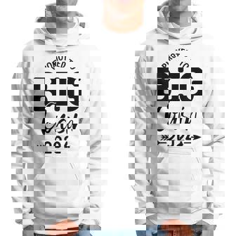 Youth Promoted To Big Cousin 2024 Big Cousin 2024 Hoodie - Thegiftio