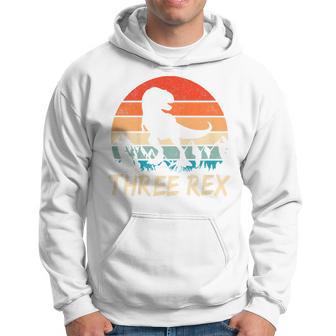 Youth Three Rex 3Rd Birthday Third Dinosaur 3 Year Old Hoodie - Thegiftio UK