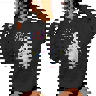 I Am At My Limit Groovy Cute Cat Apparel Women Hoodie - Seseable